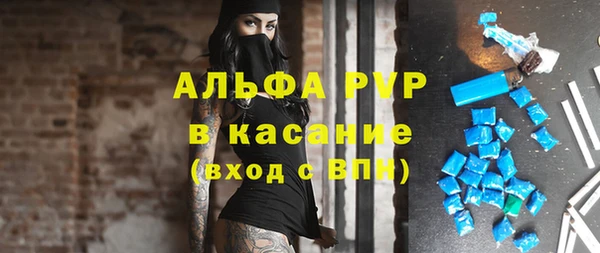винт Инта