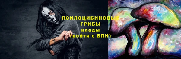 винт Инта