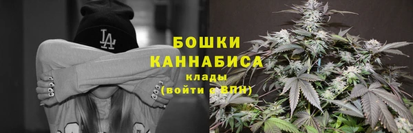 винт Инта