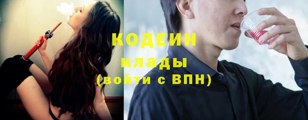 винт Инта