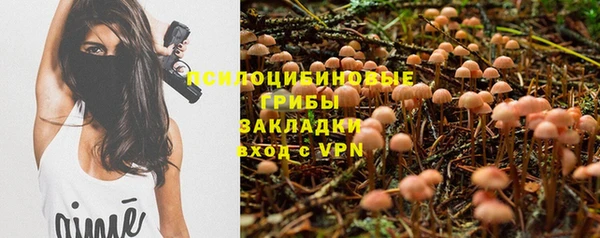 винт Инта
