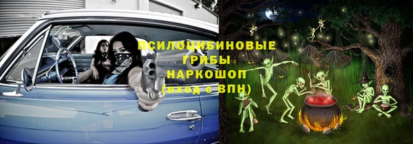 МДПВ Иннополис