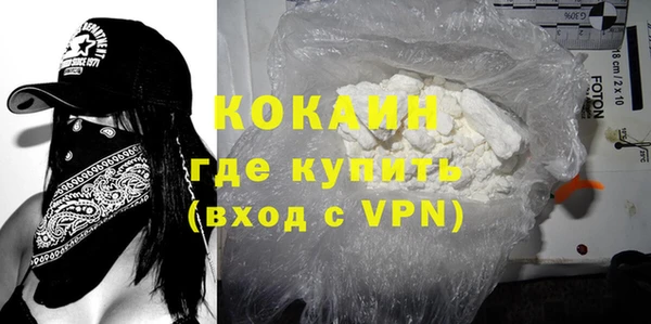 винт Инта