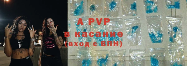 винт Инта