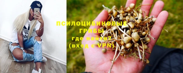 эйфоретик Инсар