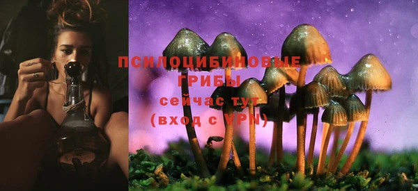 эйфоретик Инсар