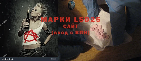 винт Инта