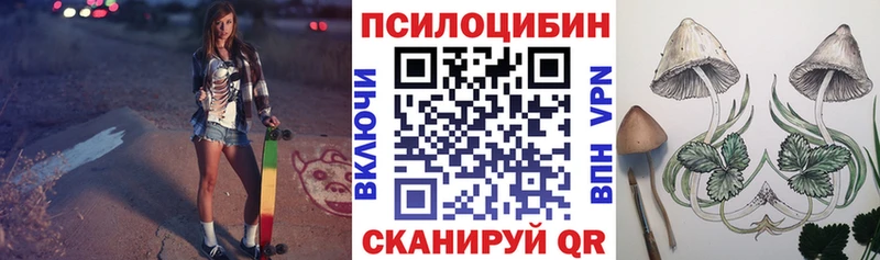 Галлюциногенные грибы Psilocybe  Купить где  Злынка 